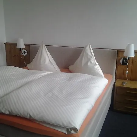 Hotel Zum Rücking 2*